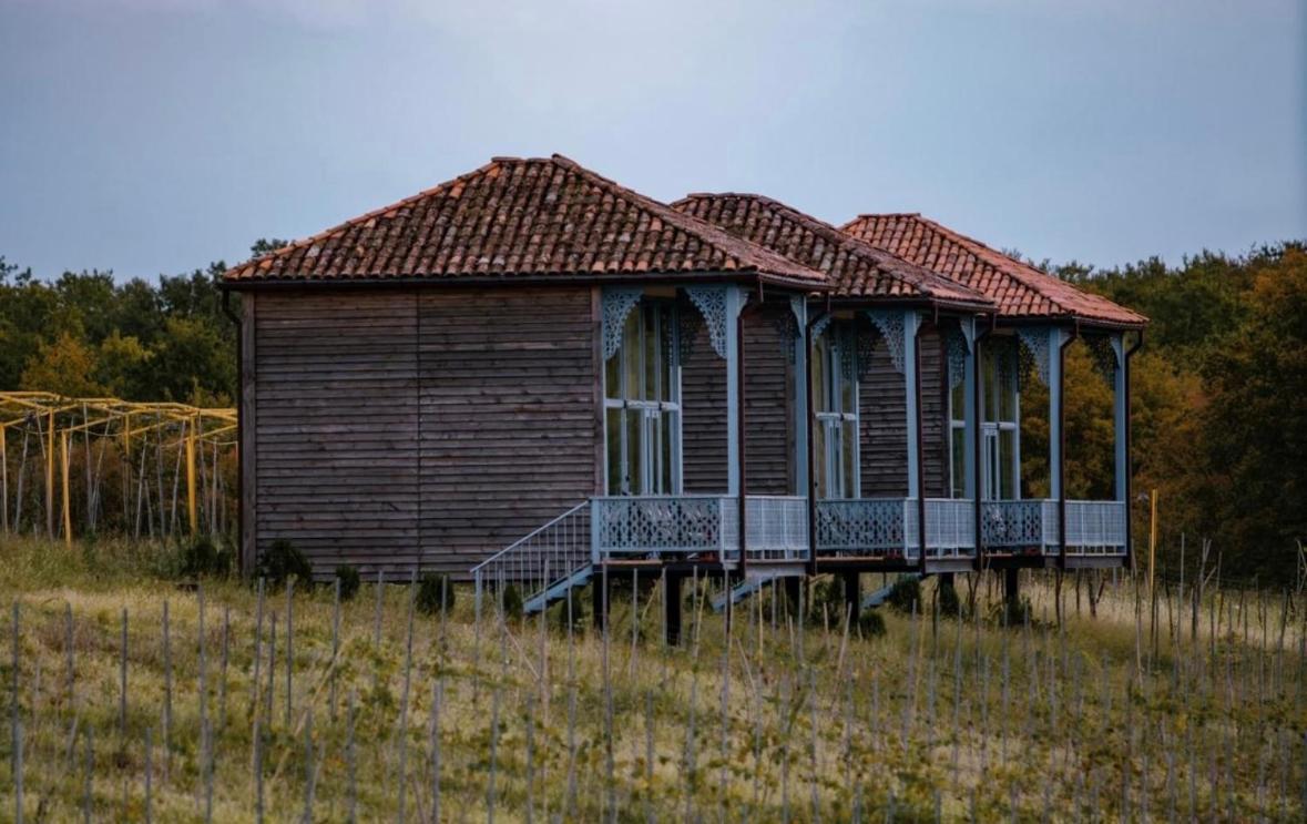 Chateau Vartsikhe Exteriér fotografie